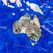 Карта мира подарочная из 740*540 мм M101 Albero Ode