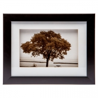 Картина ретро 18*23 B-77-15 (черный, белый) Decos