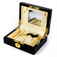 Шкатулка для драгоценностей и украшений BJ508-2 Janco Vincente