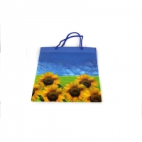 Пакет подарочный пластик 14*11,5*6,5   №10415-4 