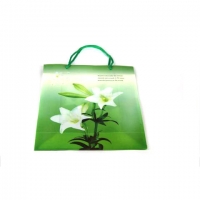 Пакет подарочный пластик 18*24*8   №10465-4 