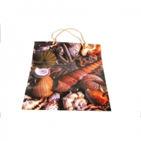 Пакет подарочный пластик 34*27*9   №10415-5 