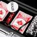 Набор для покера на 100 фишек в кейсе WS11100 Lucky Gamer